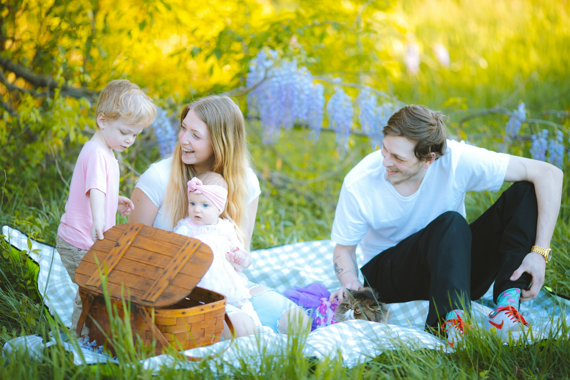 mlada rodina picknick na luke